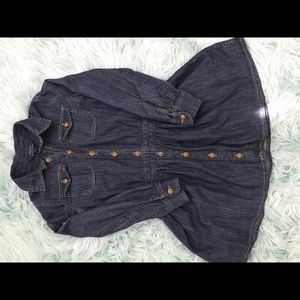 Polo Jean Dress